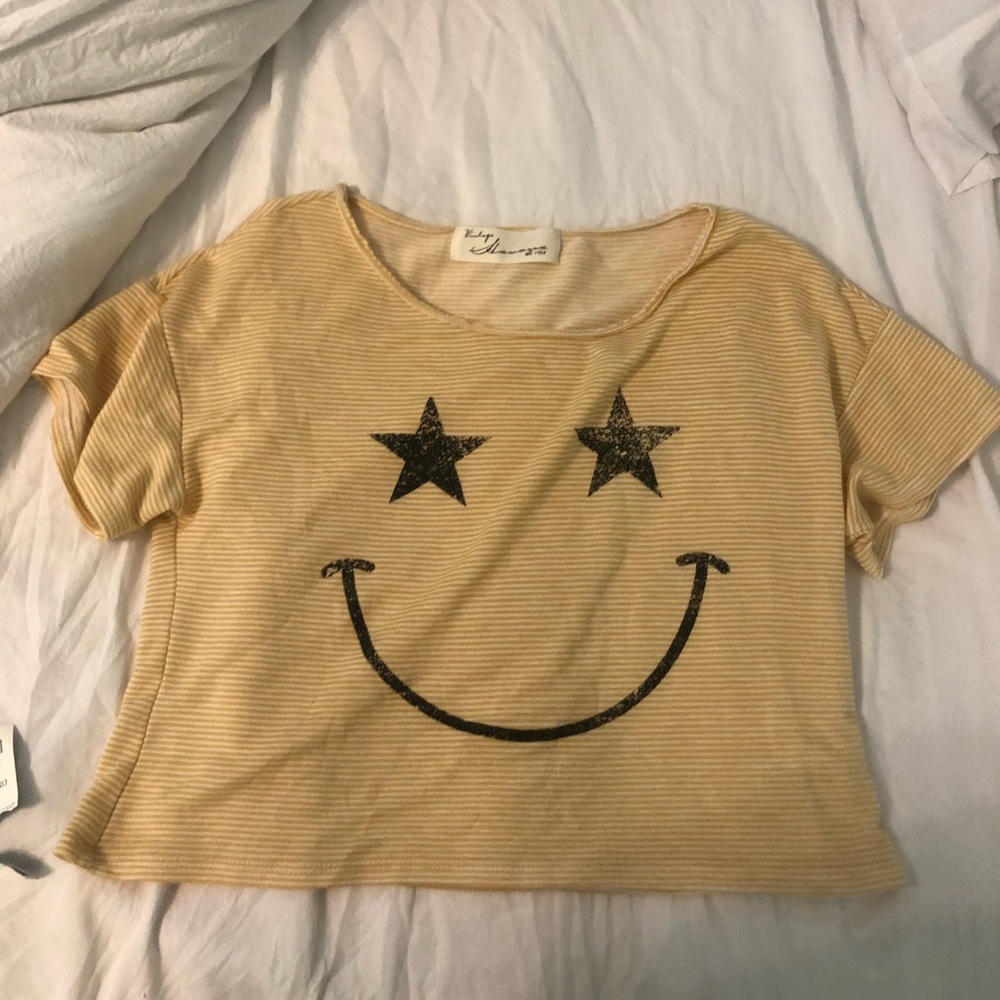 Vintage Havana Striped Cropped T-shirt